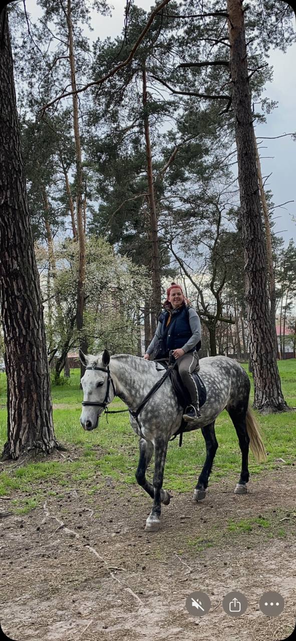 Вершниця на сірому коні серед сосен