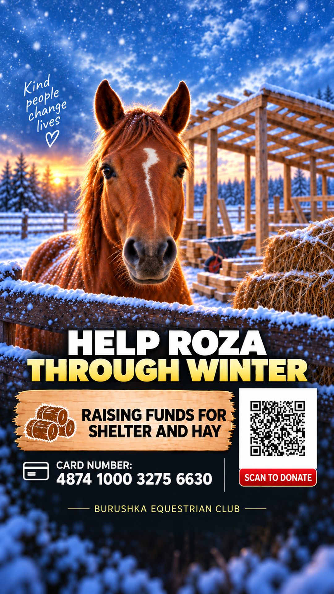 Roza in winter beside the shelter under construction