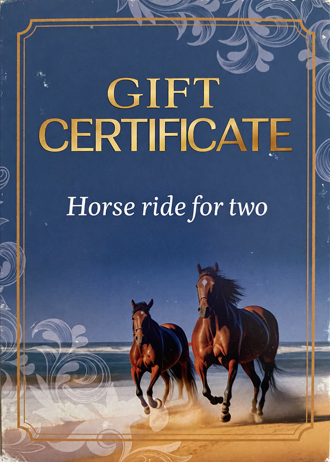 Gift certificate for a horse riding experience